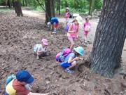 Celodenní výlet na Zámek Loučeň